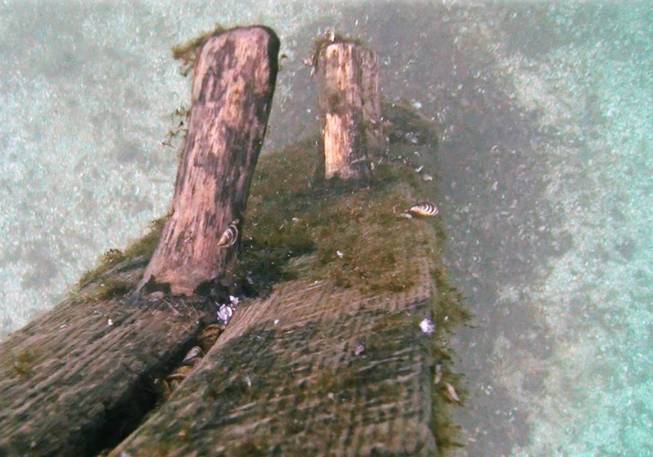 Shipwreck wood