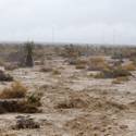 flooding2