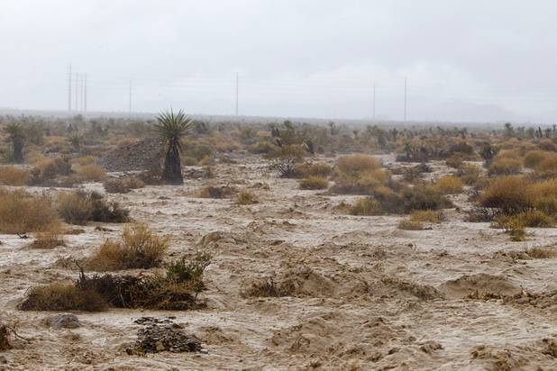 Storm runoff flows from the desert near U.S.95 near Horse Drive Sunday, Aug. 25, 2013.