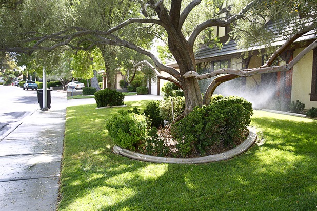 Sprinklers water a lawn at a home near Rancho Drive and Oakey Boulevard on Thursday, Aug. 29, 2013.