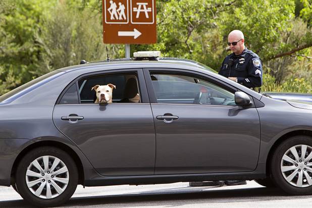 Nevada Highway Patrol Sgt. Kevin Honea talks to a motorist at a roadblock on Kyle Canyon Road on Mount Charleston Sunday, Sept. 1, 2013. The road was closed at Highway 158 after heavy storm runoff tore through the Rainbow Canyon subdivision.