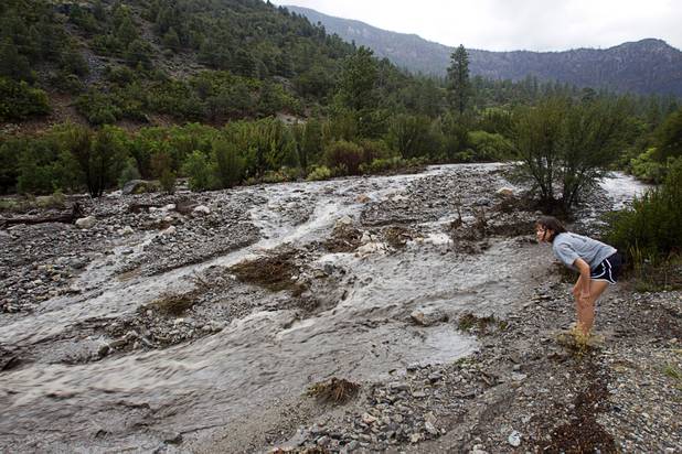 Hannah Weipert watches storm runoff along Kyle Canyon Road near Highway 158 on Mount Charleston Sunday, Sept. 1, 2013. Kyle Canyon Road was temporarily closed at Highway 158 after heavy storm runoff tore through the Rainbow Canyon subdivision.