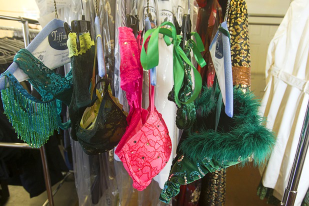 Delicate costumes from Absinthe hang from a rack at Tiffany Cleaners in the Commercial Center Monday, Sept. 9, 2013. In addition to serving their normal dry cleaning customers, the shop also provides dry cleaning for most of the shows on the Las Vegas Strip.