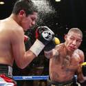 0914 undercards