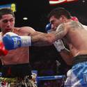 0914 undercards