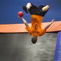 2013 Ultimate Dodgeball Championship