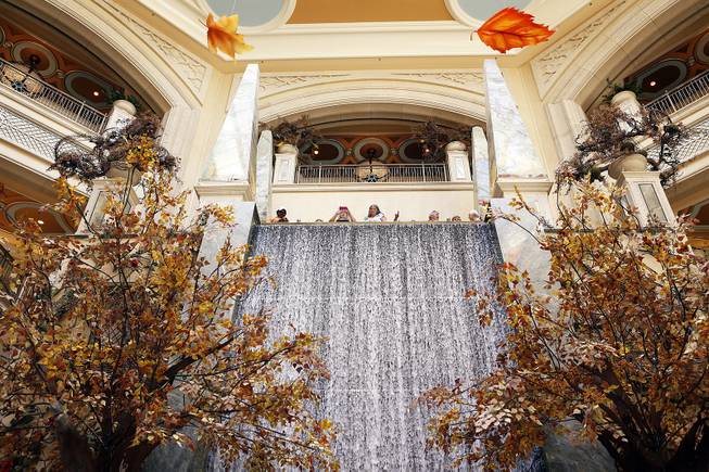 The new fall-themed display at the Palazzo Waterfall Atrium and Gardens was unveiled on Tuesday, Sept. 24, 2013. The theme was "Fall Into Eco 360" and represented Palazzo and Venetian's latest sustainability efforts.
