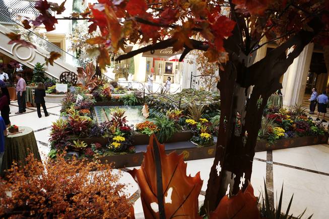 The new fall-themed display at the Palazzo Waterfall Atrium and Gardens was unveiled on Tuesday, Sept. 24, 2013. The theme was "Fall Into Eco 360" and represented Palazzo and Venetian's latest sustainability efforts.