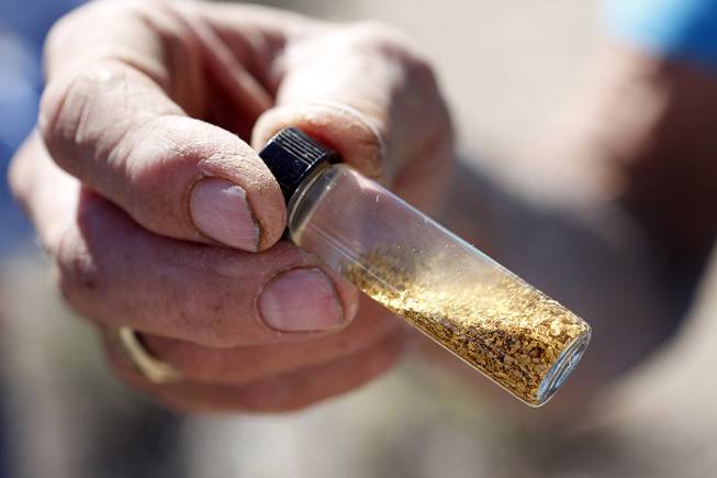 Tony Rhodes shows off some of the gold he has found over many hours of panning during a Gold Searchers of Southern Nevada outing at a claim near Meadview, Ariz. on Saturday, September 28, 2013.