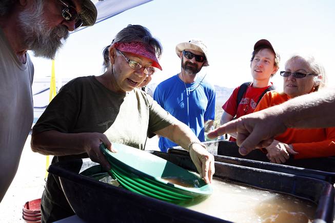 The group gathers around Maria Boyle as she find a flake of gold while panning during a Gold Searchers of Southern Nevada outing at a claim near Meadview, Ariz. on Saturday, September 28, 2013.