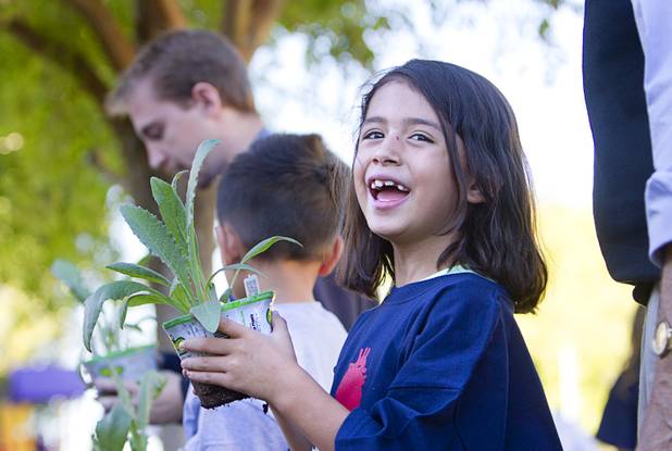Dennisse Gonzalez, 6, holds an artichoke plant at the Boys and Girls Club, 2980 Robindale Rd., in Henderson Monday, Sept. 30, 2013. Bodies: The Exhibition,"" currently at the Luxor, and the Boys and Girls Club teamed up to install a childrens vegetable garden at the club as part of Septembers National Childhood Obesity Awareness Month.