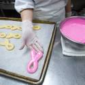 Fourth Annual Project Pink
