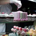 Fourth Annual Project Pink
