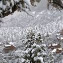 Snow Falls on Mt. Charleston