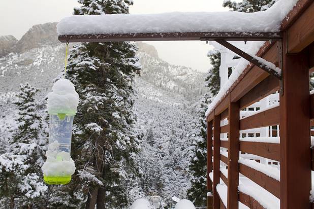 Snow is shown on a bird feeder at the Mt. Charleston Lodge Thursday, Oct. 10, 2013.