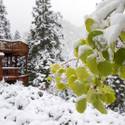 More Snow