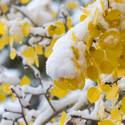 More Snow