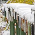 More Snow 2