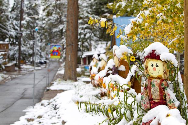 Fall decorations are covered with snow in the Old Town subdivision on Mount Charleston Thursday, Oct. 10, 2013.