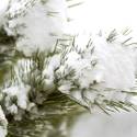 More Snow 2