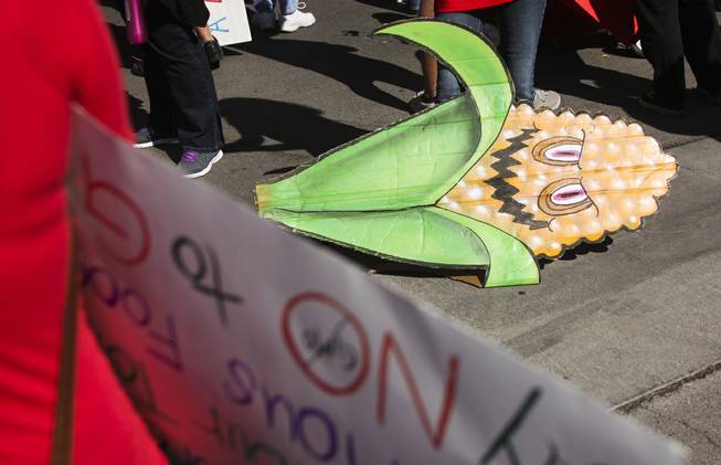 Protesters who gathered behind Backstage Bar & Billiards on Fremont Street wait with their signs before the "March Against Monsanto" protest opposing genetically modified food in downtown Las Vegas, Saturday, Oct. 12, 2013.