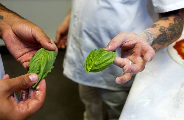 Las Vegas Weekly food editor Brock Radke, left and Tony Gemignani look over basil leaves at the new Pizza Rock restaurant at Third Street and Ogden Avenue in downtown Las Vegas Thursday, Oct. 17 2013.