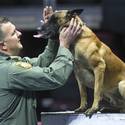 23rd Annual Police K-9 Trials