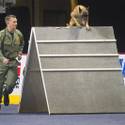 23rd Annual Police K-9 Trials