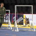 23rd Annual Police K-9 Trials