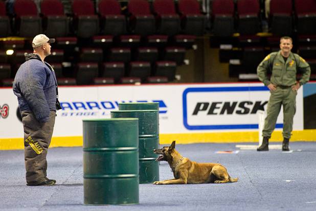 Metro K-9 Officer Sean Malia watches as his Archie, a 4-year-old Belgian Malinois, keeps an eye on a "suspect" in a bite suit during 23rd Annual Police K-9 Trials at the Orleans Arena Sunday, Oct. 20, 2013. Sixty teams from across the country participated in the trials. The event was sponsored by Friends for Las Vegas Police K-9's and hosted by the Las Vegas Metropolitan Police Department.