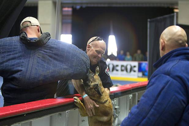 West Valley City (Utah) Police Officer Darin Hoover pulls his dog Taz back into the arena after the dog jumped over a barrier during 23rd Annual Police K-9 Trials at the Orleans Arena Sunday, Oct. 20, 2013. Sixty teams from across the country participated in the trials. The event was sponsored by Friends for Las Vegas Police K-9's and hosted by the Las Vegas Metropolitan Police Department.