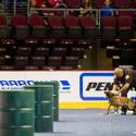 23rd Annual Police K-9 Trials