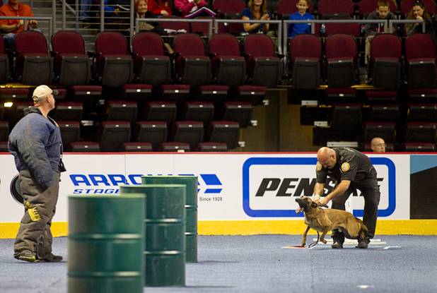 City of Orem (Utah) Police Officer Art Lopez leases his dog during 23rd Annual Police K-9 Trials at the Orleans Arena Sunday, Oct. 20, 2013. Sixty teams from across the country participated in the trials. The event was sponsored by Friends for Las Vegas Police K-9's and hosted by the Las Vegas Metropolitan Police Department.