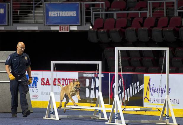 Salt Lake City Police Officer Luis Lovato follow his partner Onyx though an obstacle course during 23rd Annual Police K-9 Trials at the Orleans Arena Sunday, Oct. 20, 2013. Sixty teams from across the country participated in the trials. The event was sponsored by Friends for Las Vegas Police K-9's and hosted by the Las Vegas Metropolitan Police Department.