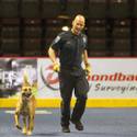 23rd Annual Police K-9 Trials