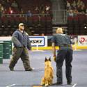23rd Annual Police K-9 Trials