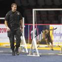 23rd Annual Police K-9 Trials