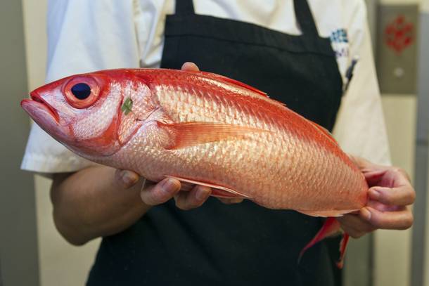 Milos chef Luz Christie examines a red snapper for freshness while unwrapping and sorting a fresh shipment in the kitchen on Wednesday Oct. 23, 2013.