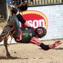 2013 Miniature Bull Riding World Finals