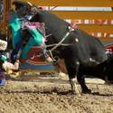 2013 Miniature Bull Riding World Finals