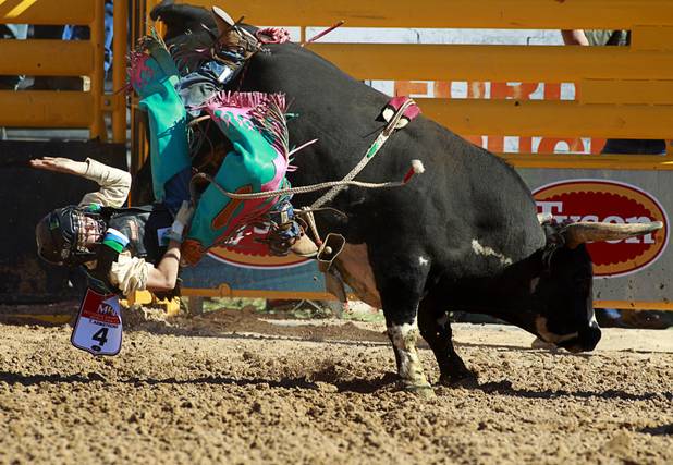 Trevyn Armstrong, 11, is thrown from a bull during the Chris Shivers Miniature Bull Riding (MBR) World Finals at Mandalay Bay Thursday, Oct. 24, 2013. The MBR features junior riders ages 8 to11 and senior riders ages 12 to 14. The event was part of the the 2013 Professional Bull Riders Built Ford Tough World Finals.