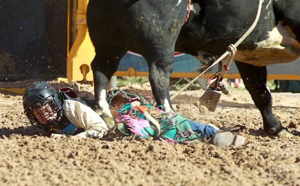 Trevyn Armstrong, 11, gets stepped on by a bull during the Chris Shivers Miniature Bull Riding (MBR) World Finals at Mandalay Bay Thursday, Oct. 24, 2013. The MBR features junior riders ages 8 to11 and senior riders ages 12 to 14. The event was part of the the 2013 Professional Bull Riders Built Ford Tough World Finals.