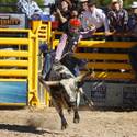 2013 Miniature Bull Riding World Finals