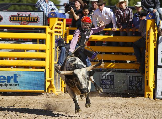 Brand Shivers, 10, of Jonesville, La., son of professional bull rider Chris Shivers, competes during the Chris Shivers Miniature Bull Riding (MBR) World Finals at Mandalay Bay Thursday, Oct. 24, 2013. The MBR features junior riders ages 8 to11 and senior riders ages 12 to 14. The event was part of the the 2013 Professional Bull Riders Built Ford Tough World Finals.