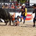 2013 Miniature Bull Riding World Finals