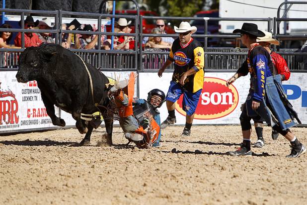 Junior rider Ervey Ochoa falls from a bull during the Chris Shivers Miniature Bull Riding (MBR) World Finals at Mandalay Bay Thursday, Oct. 24, 2013. The MBR features junior riders ages 8 to11 and senior riders ages 12 to 14. The event was part of the the 2013 Professional Bull Riders Built Ford Tough World Finals.