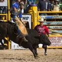 2013 Miniature Bull Riding World Finals