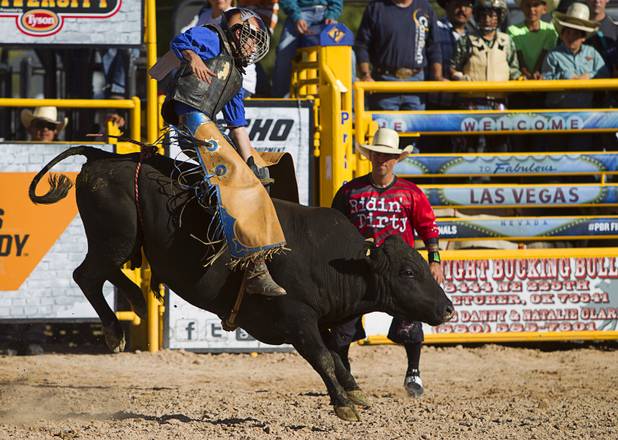 Macade Caillouet rides a bull during the Chris Shivers Miniature Bull Riding (MBR) World Finals at Mandalay Bay Thursday, Oct. 24, 2013. The MBR features junior riders ages 8 to11 and senior riders ages 12 to 14. The event was part of the the 2013 Professional Bull Riders Built Ford Tough World Finals.