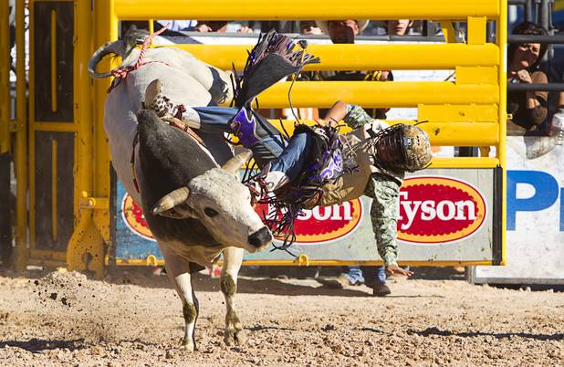 Jon garcia gets thrown from a bull during the Chris Shivers Miniature Bull Riding (MBR) World Finals at Mandalay Bay Thursday, Oct. 24, 2013. The MBR features junior riders ages 8 to11 and senior riders ages 12 to 14. The event was part of the the 2013 Professional Bull Riders Built Ford Tough World Finals.