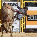 2013 Miniature Bull Riding World Finals